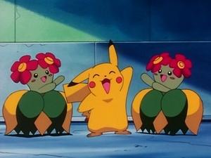 Pokémon Epizóda 6