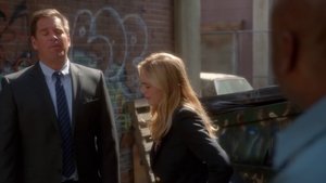 NCIS: Námorný vyšetrovací úrad Epizóda 21