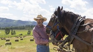 Heartland Epizóda 5