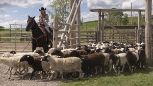 Heartland Epizóda 4