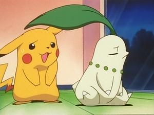 Pokémon Epizóda 20