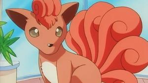 Pokémon Epizóda 28