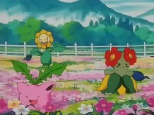 Pokémon Epizóda 21