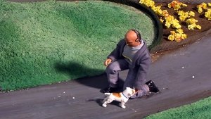 Robot Chicken Epizóda 13