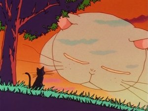 Sailor Moon Epizóda 31