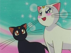 Sailor Moon Epizóda 6